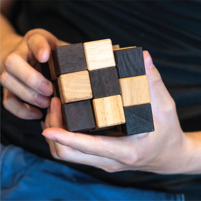 Hovedbilde Slange kube IQ-nøtt