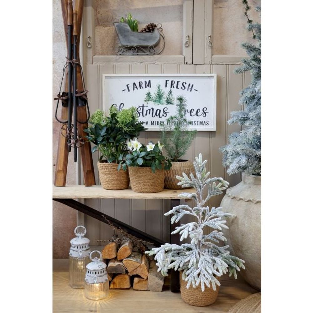 Dekor kane fra Chic Antique